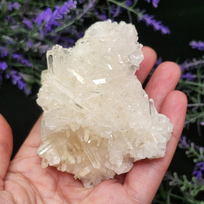 Lemurian Quartz Cluster 205g