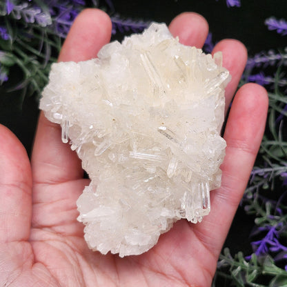 Lemurian Quartz Cluster 205g