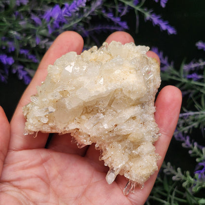 Lemurian Quartz Cluster 134g