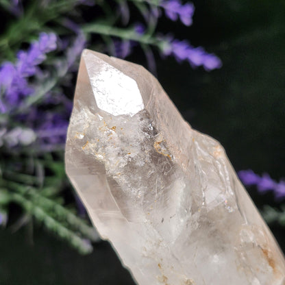 Lemurian Quartz Crystal 270g