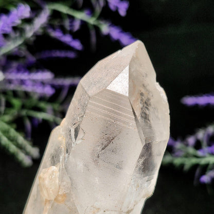 Lemurian Quartz Crystal 270g