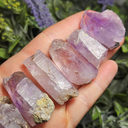 MOVING Enhydro Amethyst Crystal *Old Stock* Brazilian Specimens