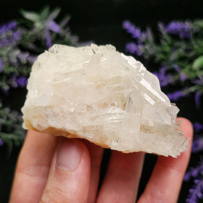 Lemurian Quartz Cluster 170g