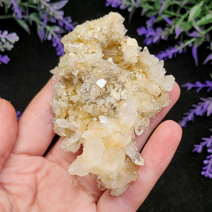 Lemurian Quartz Cluster 102g