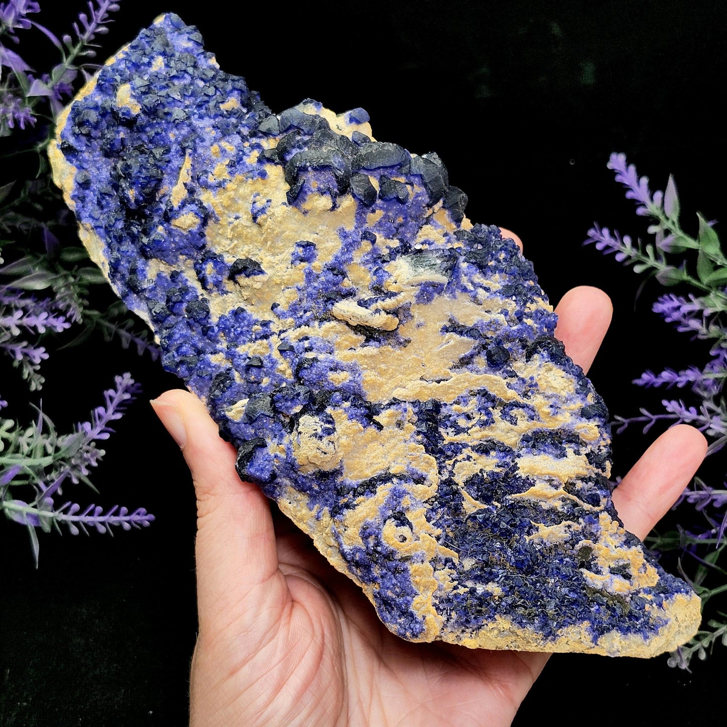 Blue Fluorite Crystal Cluster 1.37 lbs, "Blueberry" Fluorite Crystal Specimen