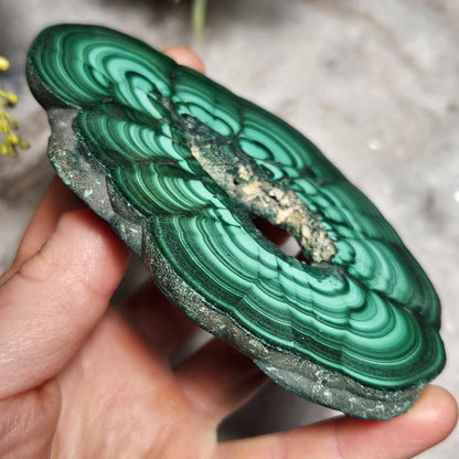 Malachite Specimen Slice with Natural Hole: Authentic African Malachite Crystal, 155g