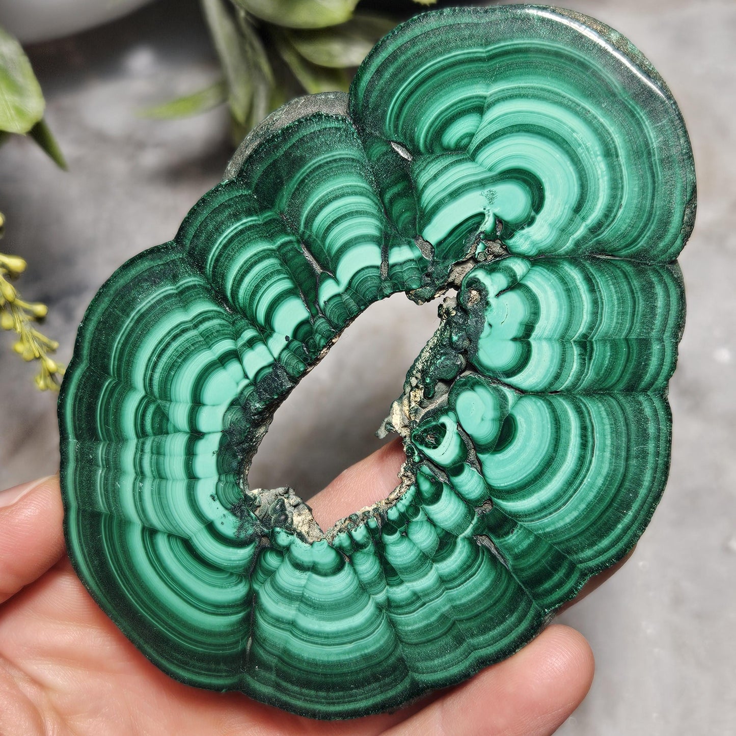 Malachite Specimen Slice with Natural Hole: Authentic African Malachite Crystal, 155g
