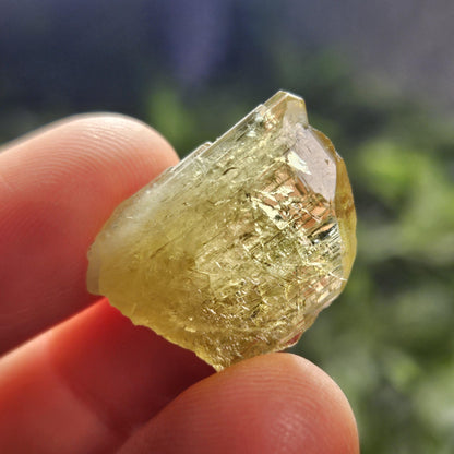 RARE Yellow Tanzanite Crystal: Raw, Terminated, Etched, Untreated Gold Tanzanite from Tanzania, 4.21g