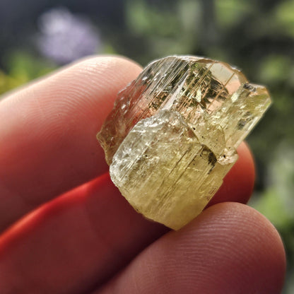 RARE Yellow Tanzanite Crystal: Raw, Terminated, Etched, Untreated Gold Tanzanite from Tanzania, 4.21g
