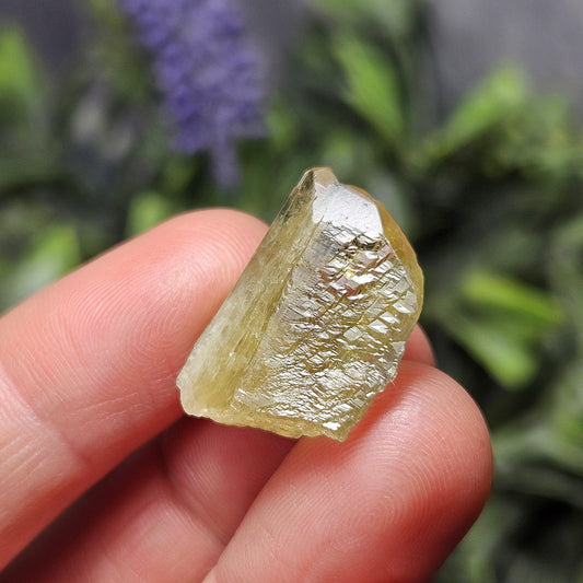 RARE Yellow Tanzanite Crystal: Raw, Terminated, Etched, Untreated Gold Tanzanite from Tanzania, 4.21g