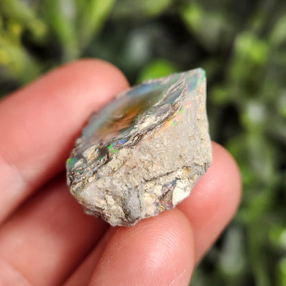 Raw Rainbow Opal Crystal (6.43 grams): Ghost Opal Specimen
