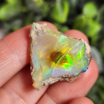 Raw Rainbow Opal Stone (6.41 grams): Rare Ghost Opal from Africa