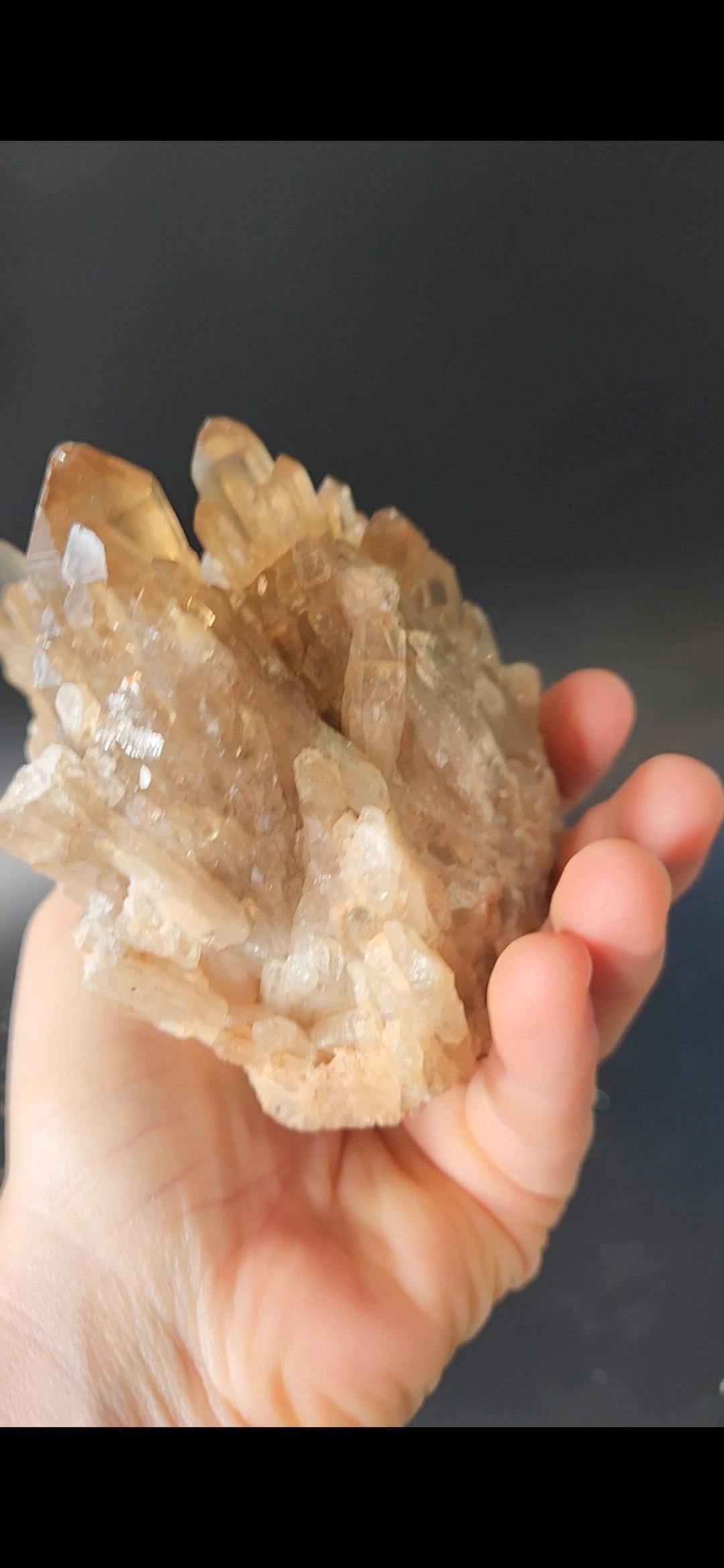 Kundalini Citrine Cluster (394 grams): Natural Congo Quartz Crystal