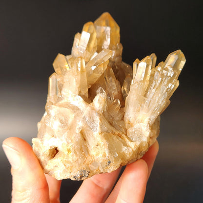 Kundalini Citrine Cluster (394 grams): Natural Congo Quartz Crystal