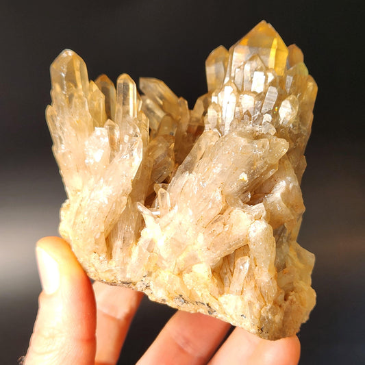 Kundalini Citrine Cluster (394 grams): Natural Congo Quartz Crystal