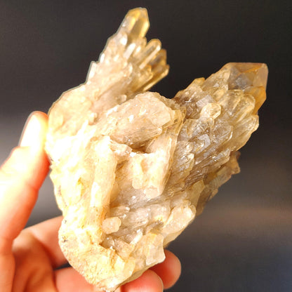 Kundalini Citrine Cluster (394 grams): Natural Congo Quartz Crystal