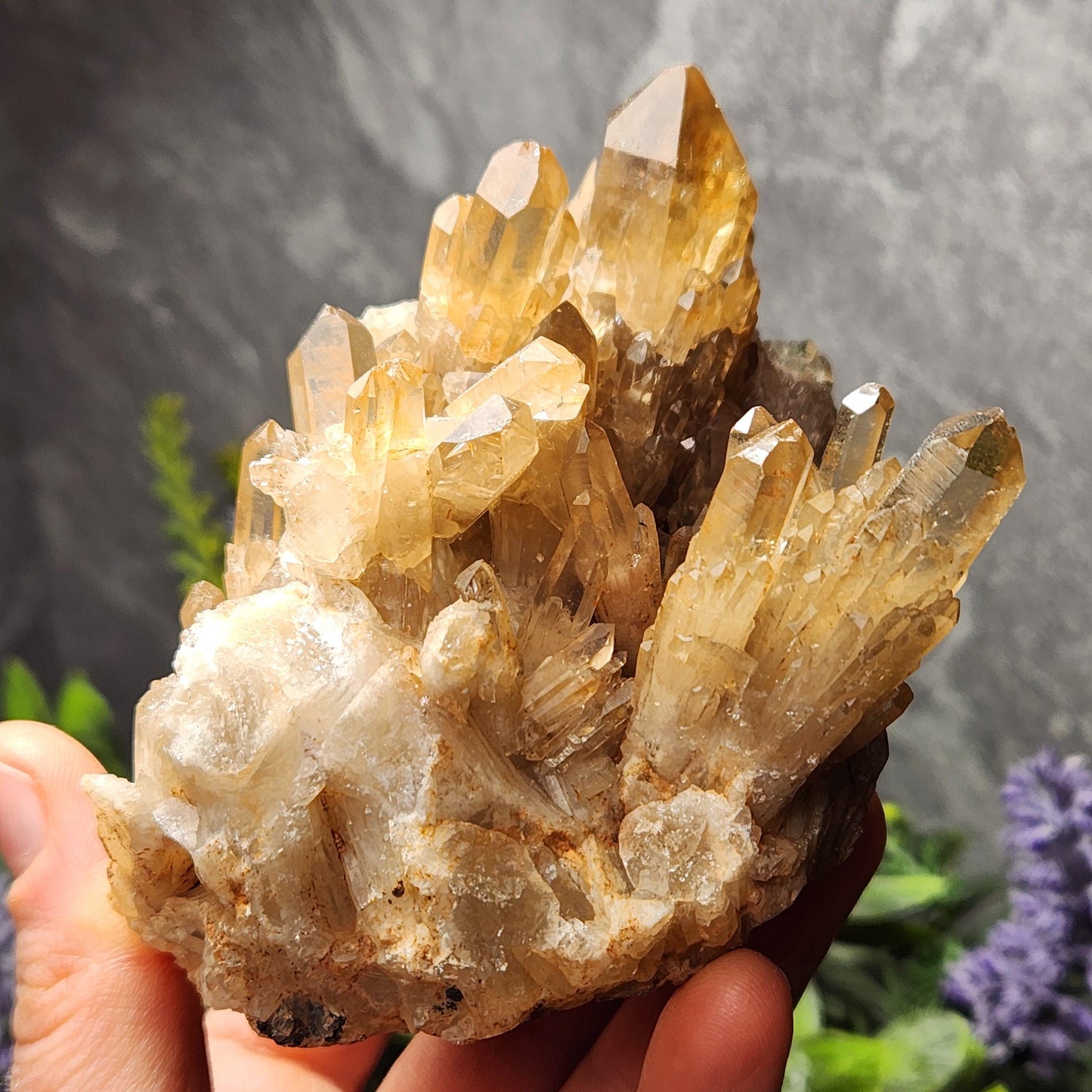 Kundalini Citrine Cluster (394 grams): Natural Congo Quartz Crystal