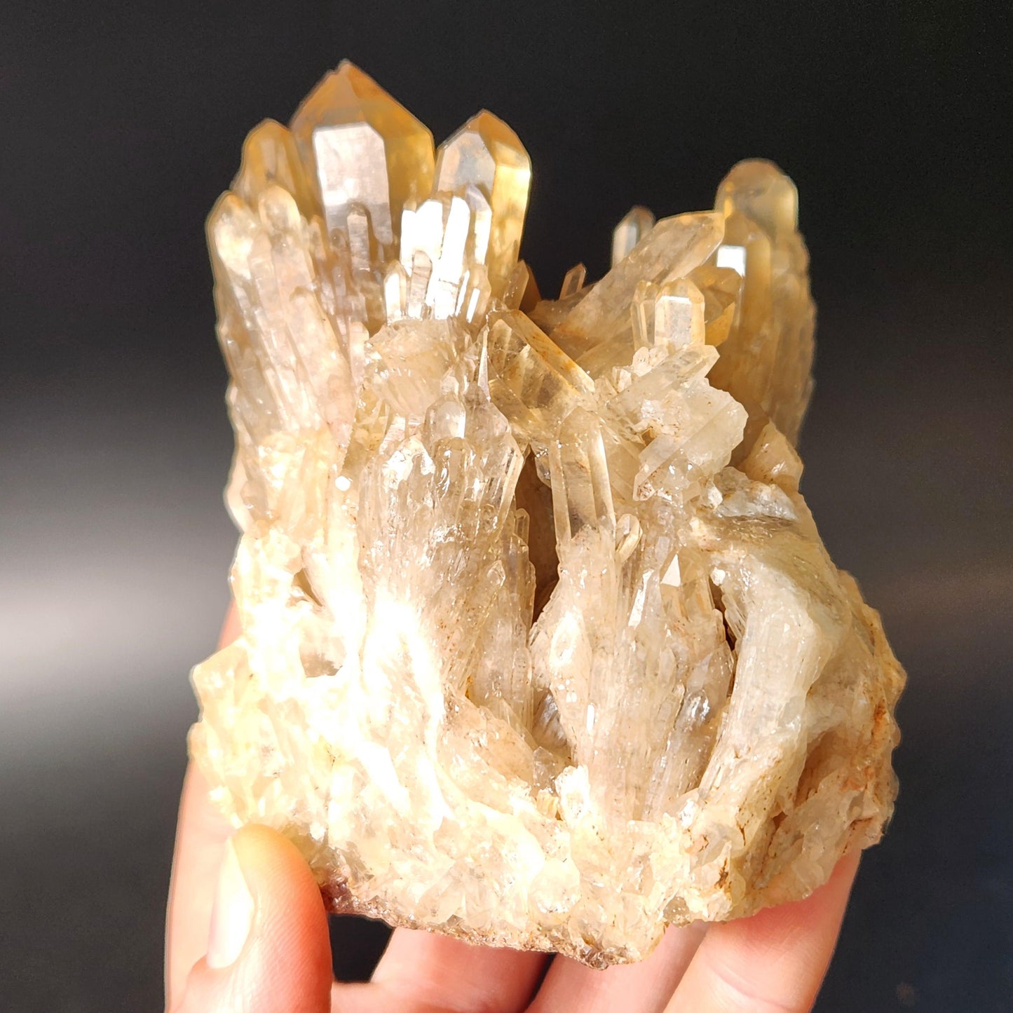 Kundalini Citrine Cluster (394 grams): Natural Congo Quartz Crystal
