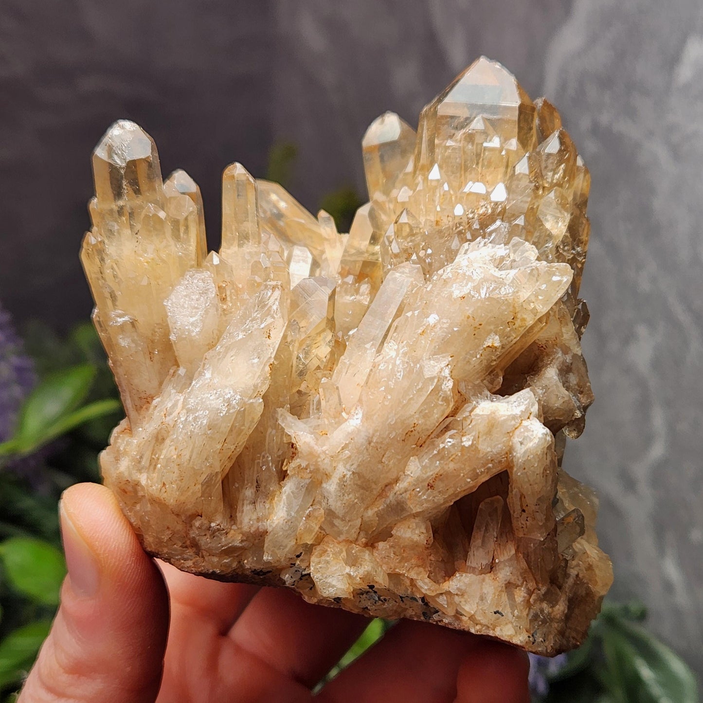 Kundalini Citrine Cluster (394 grams): Natural Congo Quartz Crystal