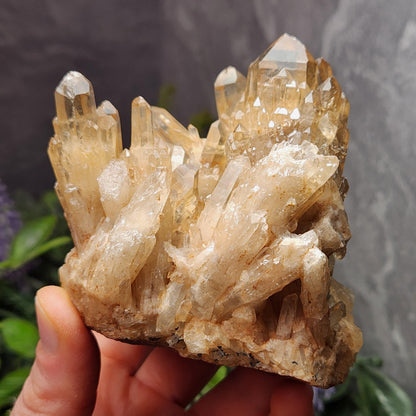 Kundalini Citrine Cluster (394 grams): Natural Congo Quartz Crystal