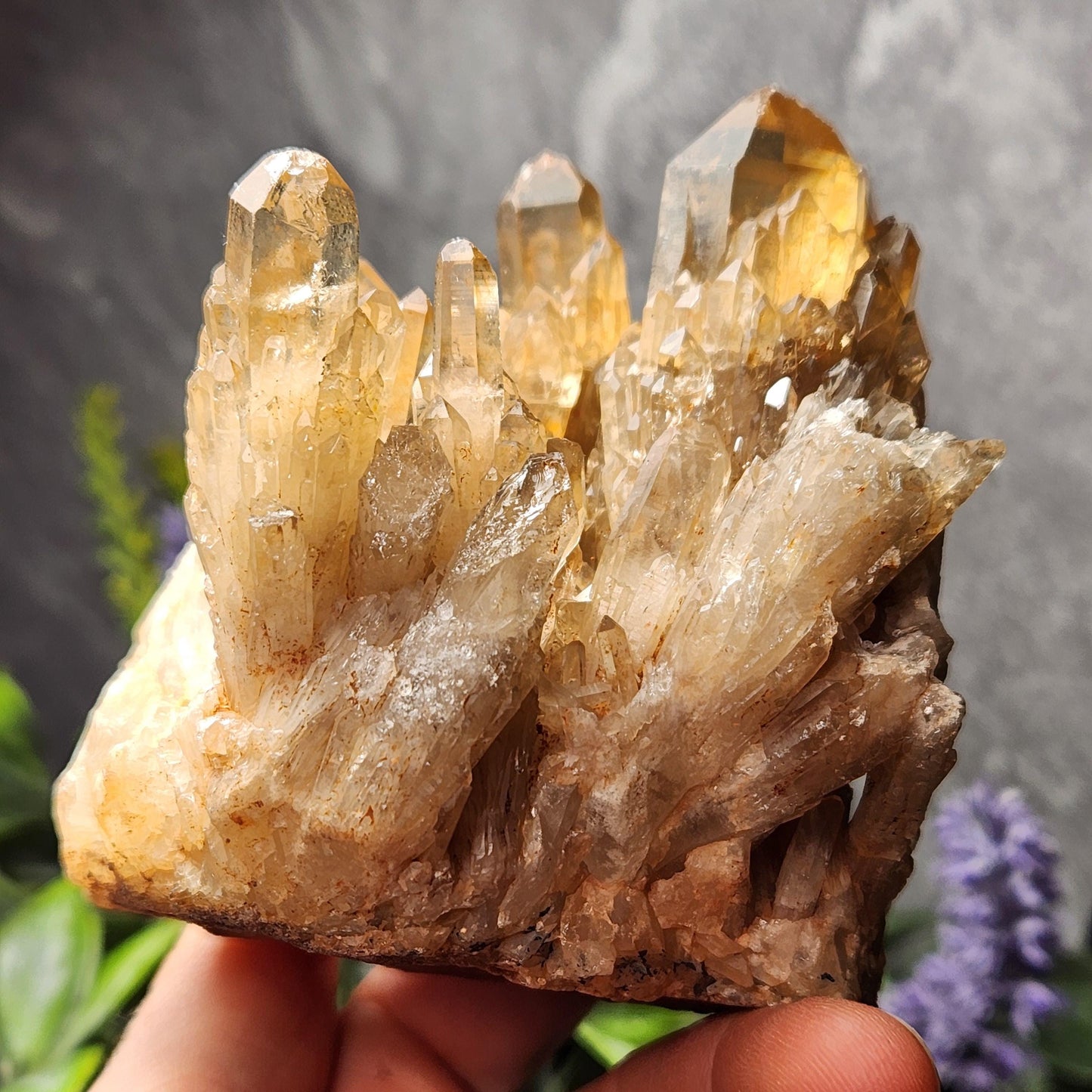 Kundalini Citrine Cluster (394 grams): Natural Congo Quartz Crystal