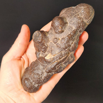 Prophecy Stone Specimen (561g): Egyptian Prophecy Crystal Pseudomorph