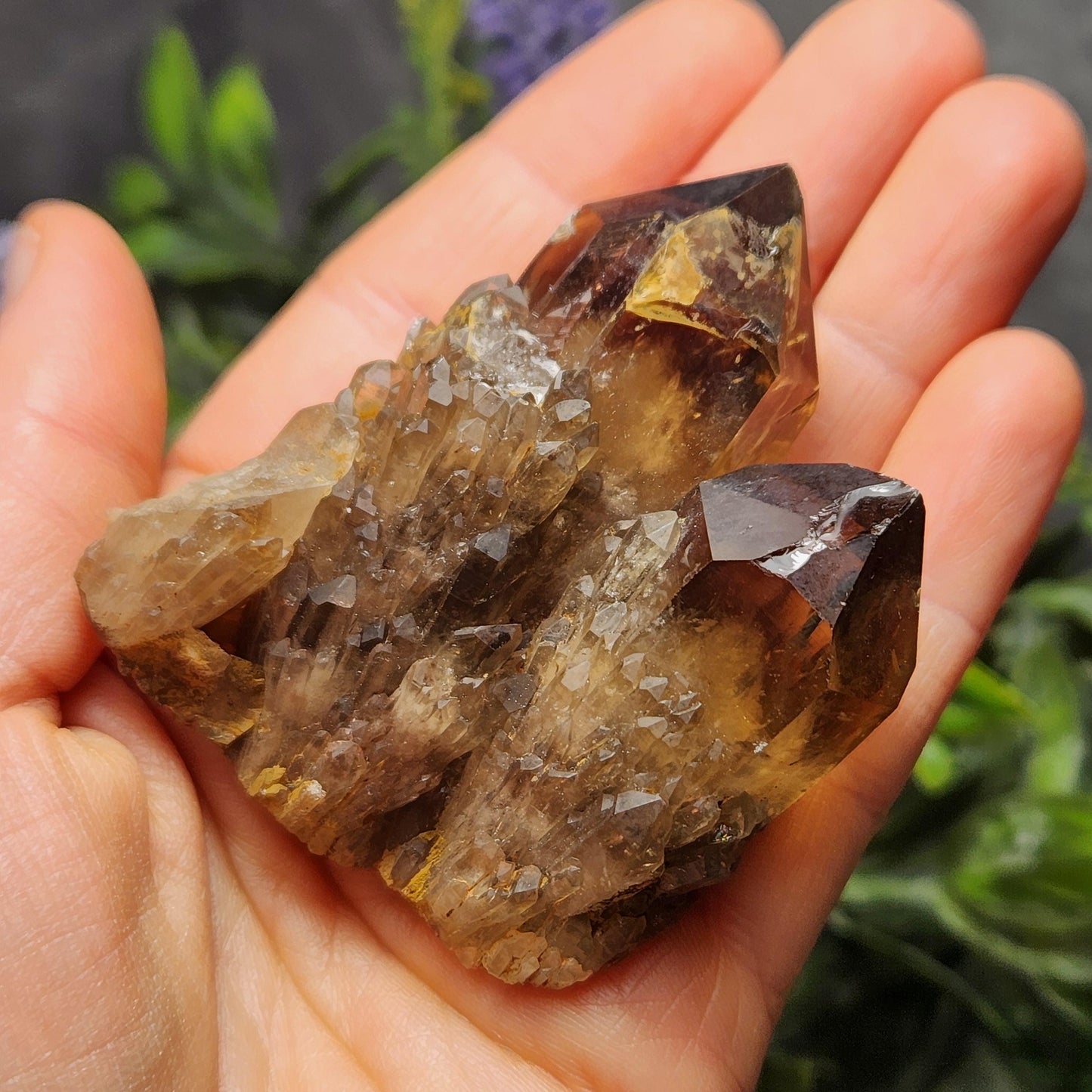 Kundalini Smoky Citrine Cluster (85g): Natural Congo Quartz Crystal, Kundalini Specimen