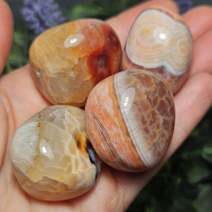 Fire Agate Tumbled Stone (1