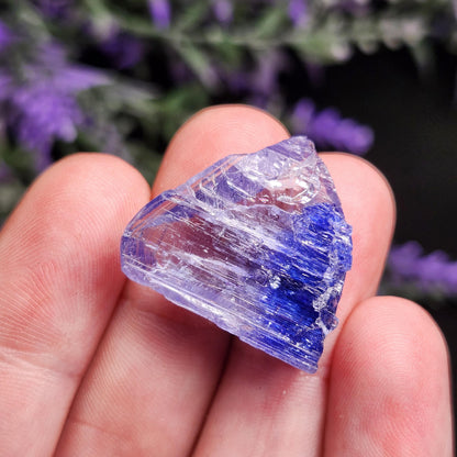 Tanzanite Crystal 6.69g, Bi Colored Raw Tanzanite Stone Specimen