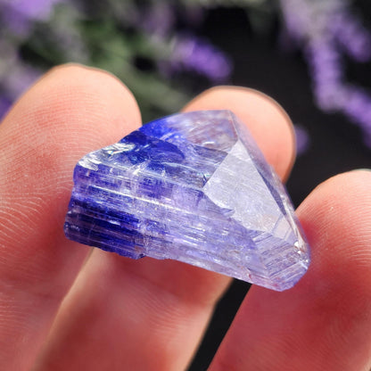 Tanzanite Crystal 6.69g, Bi Colored Raw Tanzanite Stone Specimen