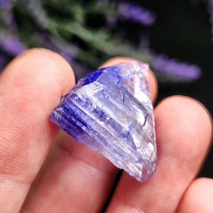 Tanzanite Crystal 6.69g, Bi Colored Raw Tanzanite Stone Specimen