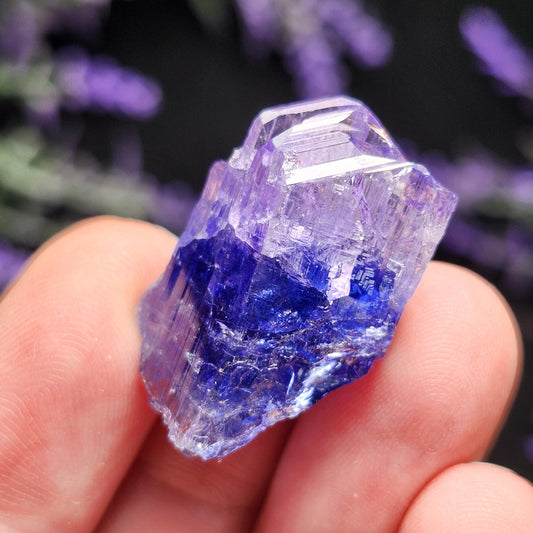 Tanzanite Crystal 7.5g