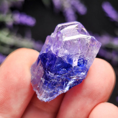 Tanzanite Crystal 7.5g