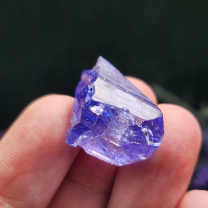 Terminated Tanzanite Crystal 5.7g
