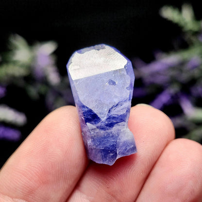 Tanzanite Crystal 5.8g