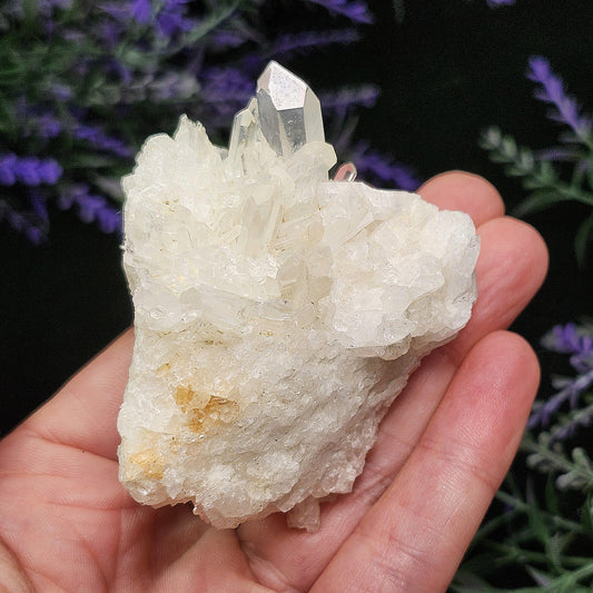 Lemurian Quartz Cluster 109g