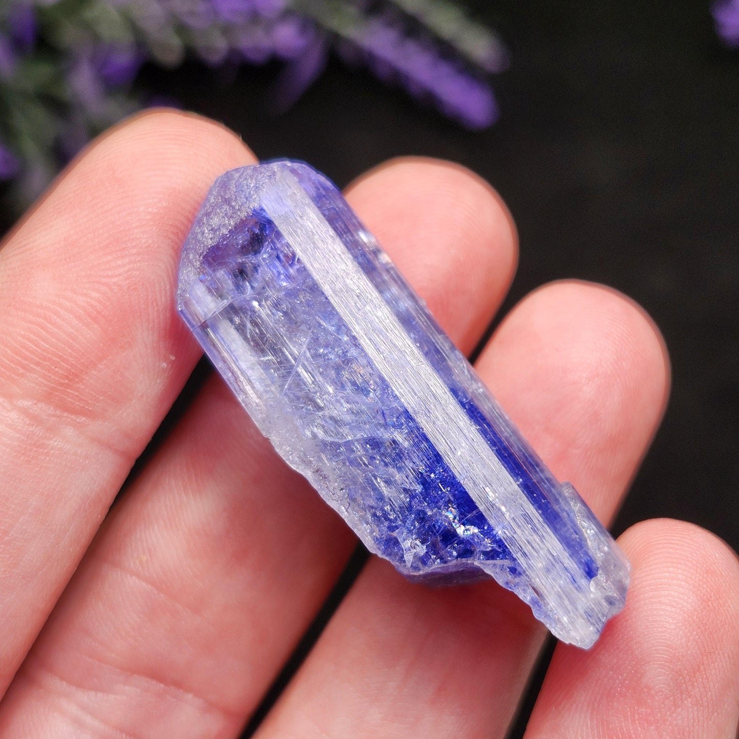 Tanzanite Terminated Crystal 11.2g