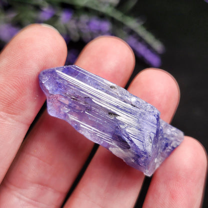 Tanzanite Terminated Crystal 11.2g