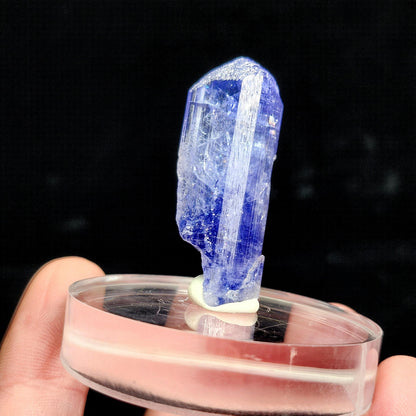Tanzanite Terminated Crystal 11.2g
