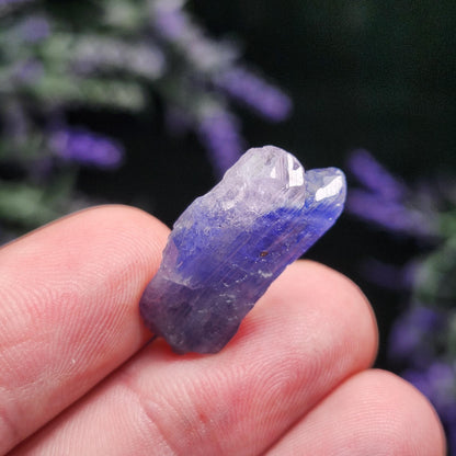 TWINNED Tanzanite Crystal 2.6g Parallel Growth