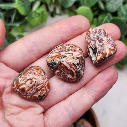 Leopard Skin Jasper