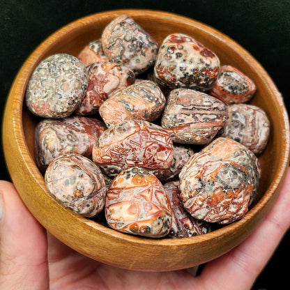 Leopard Skin Jasper