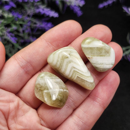 Chevron Prasiolite