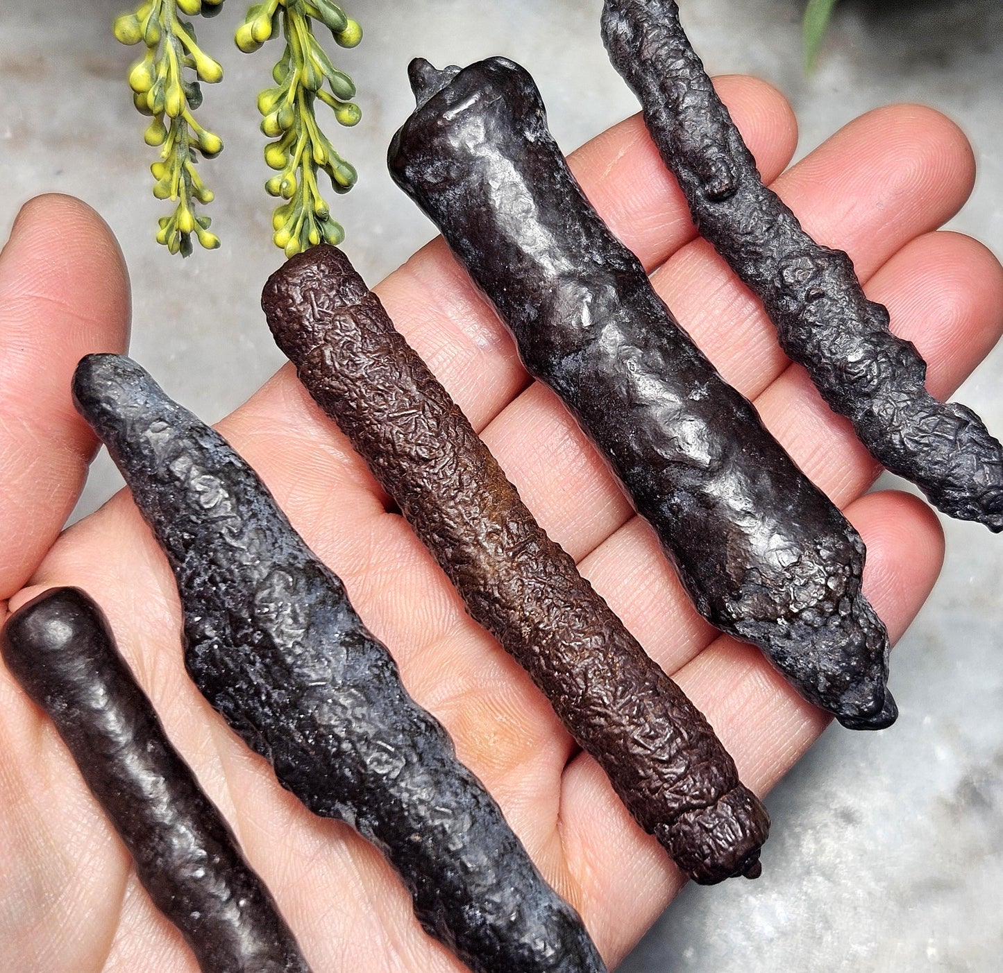 Angel Chime Prophecy Stone Wand: Natural Prophecy Specimen from Egypt, Pseudomorph Crystal