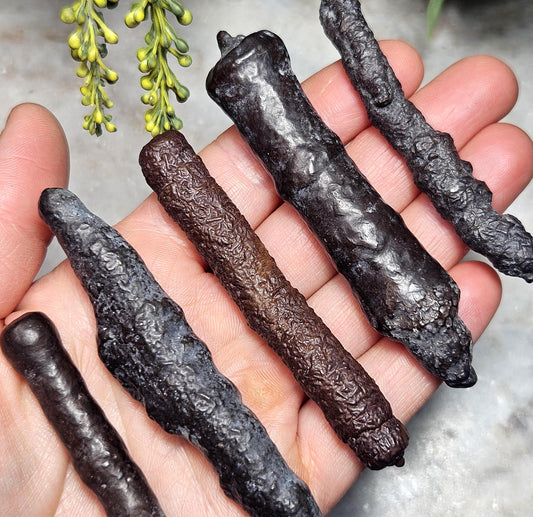 Angel Chime Prophecy Stone Wand: Natural Prophecy Specimen from Egypt, Pseudomorph Crystal