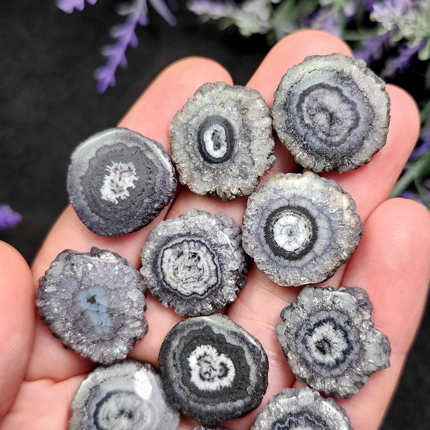 Solar Quartz Stalactite Slices: Single Slice or Pair of Slices, Solar Quartz Crystal, Solar Crystal Slice
