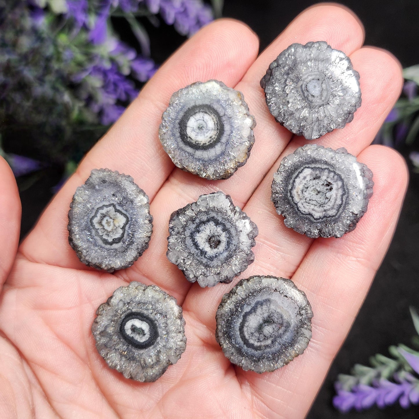 Solar Quartz Stalactite Slices: Single Slice or Pair of Slices, Solar Quartz Crystal, Solar Crystal Slice