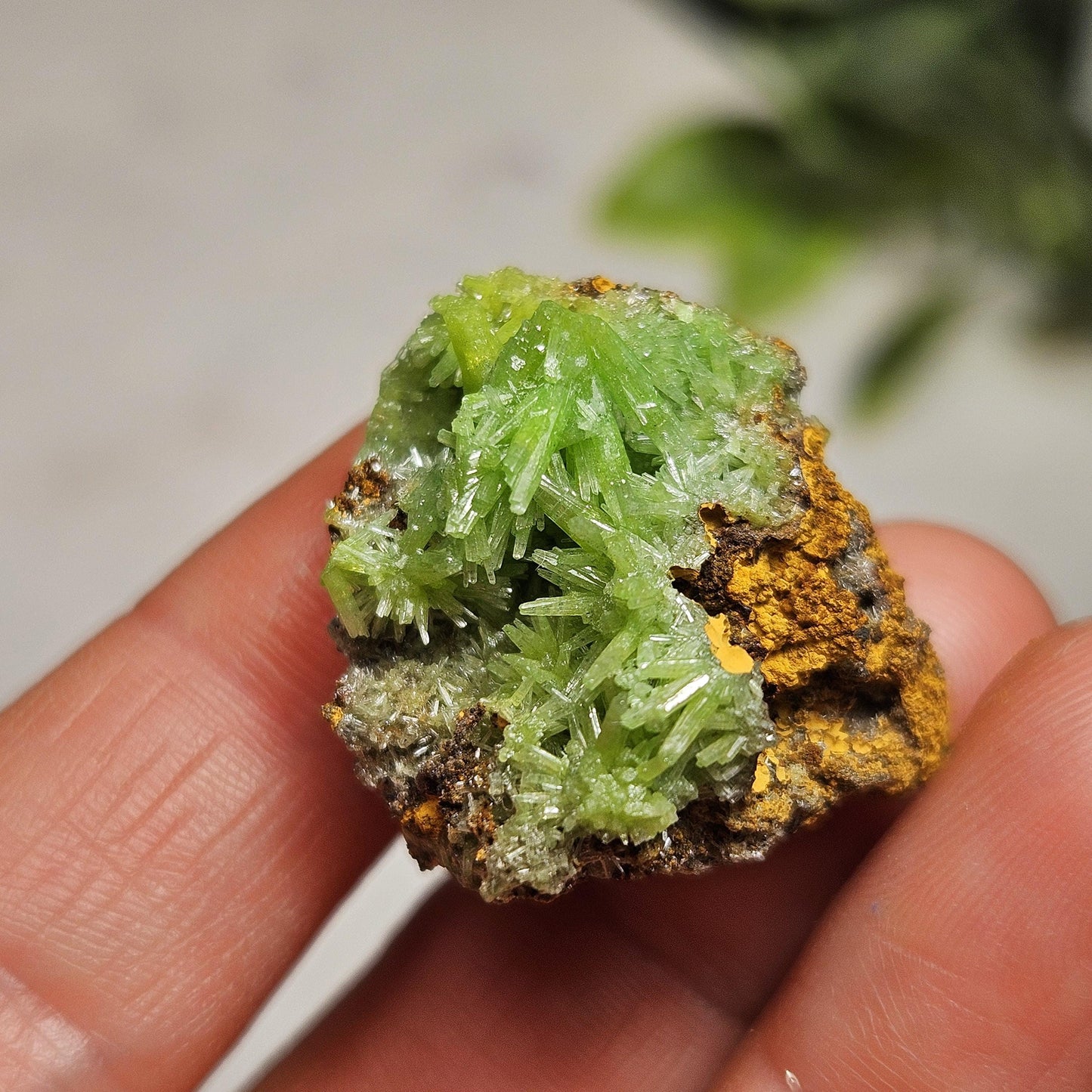 Starburst Pyromorphite Crystal