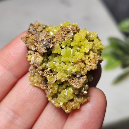 Pyromorphite Crystal