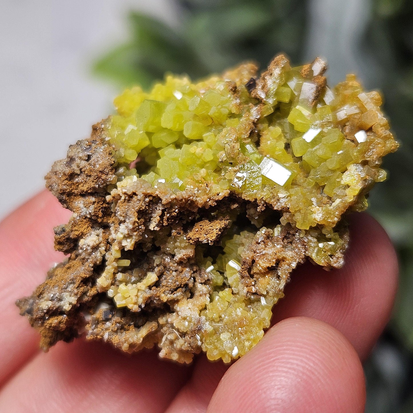 Pyromorphite Crystal